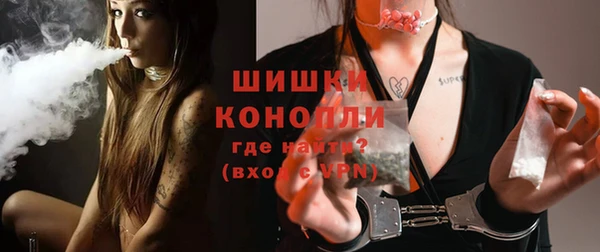 твердый Богданович