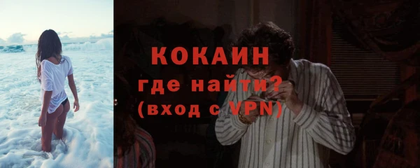 твердый Богданович