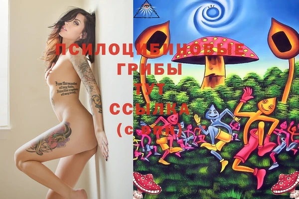 хмурый Богородицк