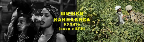 твердый Богданович