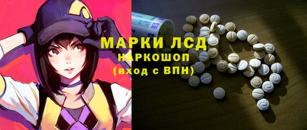 твердый Богданович