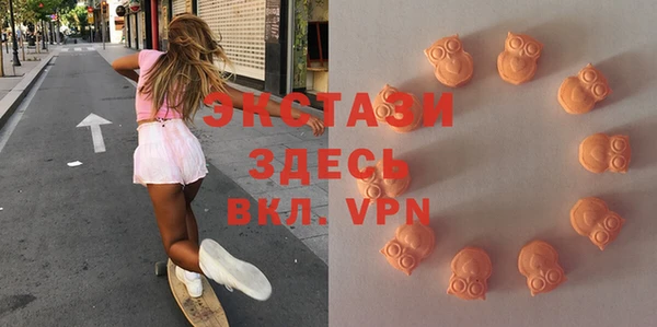 твердый Богданович