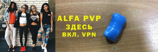 твердый Богданович