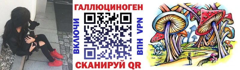 Псилоцибиновые грибы мухоморы  Димитровград 